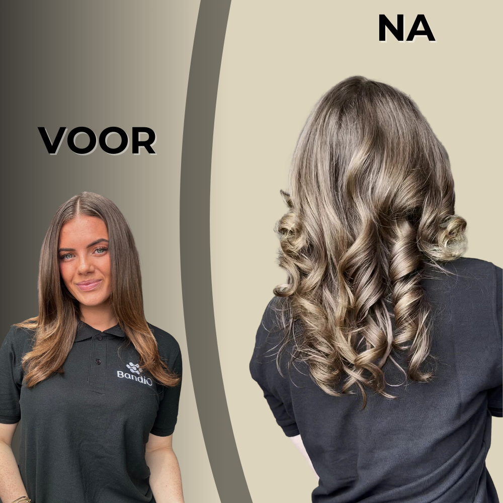 EASYSTYLER PRO WIT